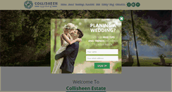 Desktop Screenshot of collisheen.co.za