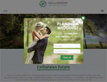 Tablet Screenshot of collisheen.co.za